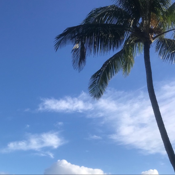 Meet your Posher, Lala - Picture 1 of 1